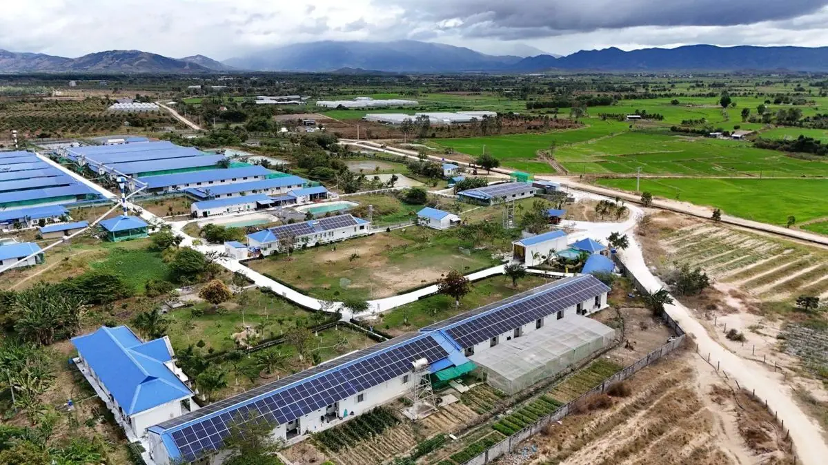 Minh Thắng Solar Engineers Team