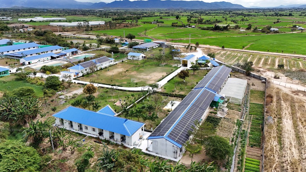 Nhìn từ flycam: tấm pin đi dọc theo mái dãy chuồng