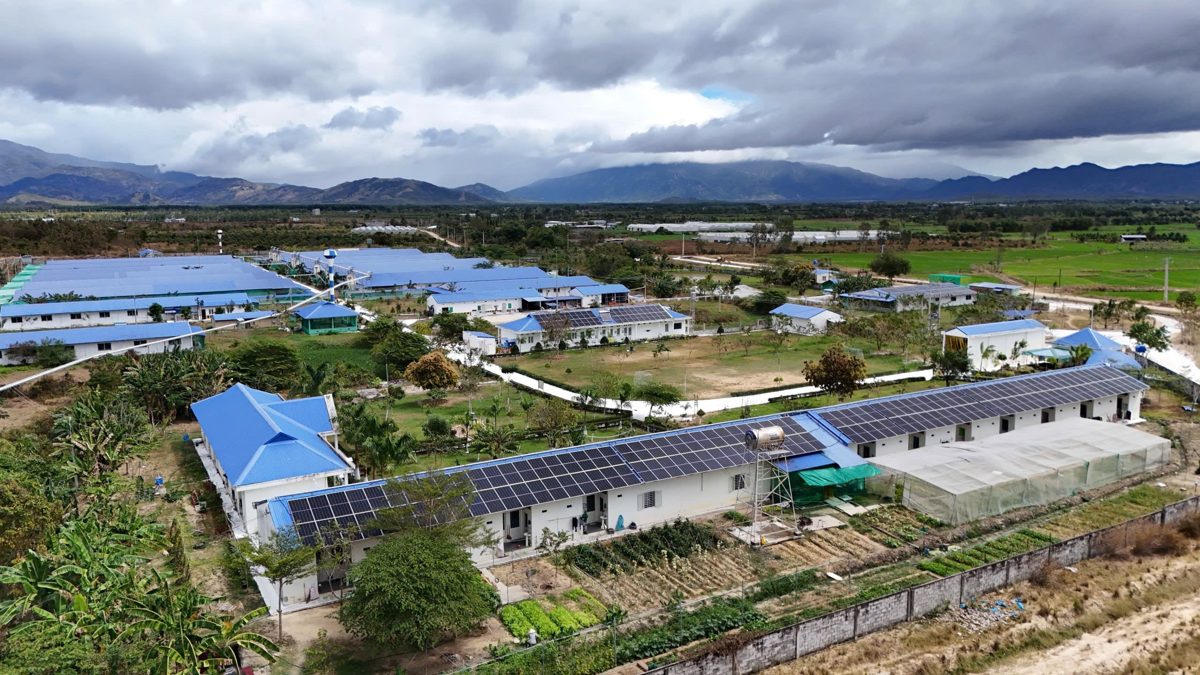 Điện mặt trời Trại heo CP 600 kWp – Trang trại chăn nuôi