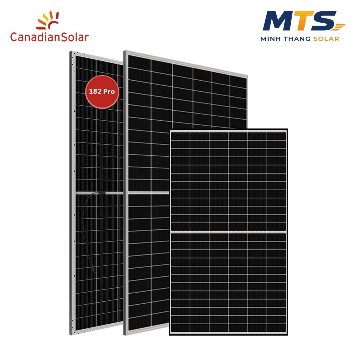 Tấm Pin Năng Lượng Mặt Trời Canadian 590W 2 Mặt Kính